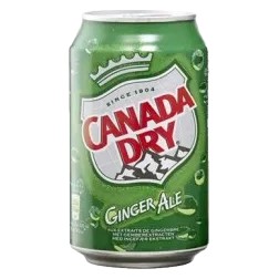 CANADA DRY BLIK 24x33cl