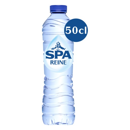 SPA REINE PET 24x50cl