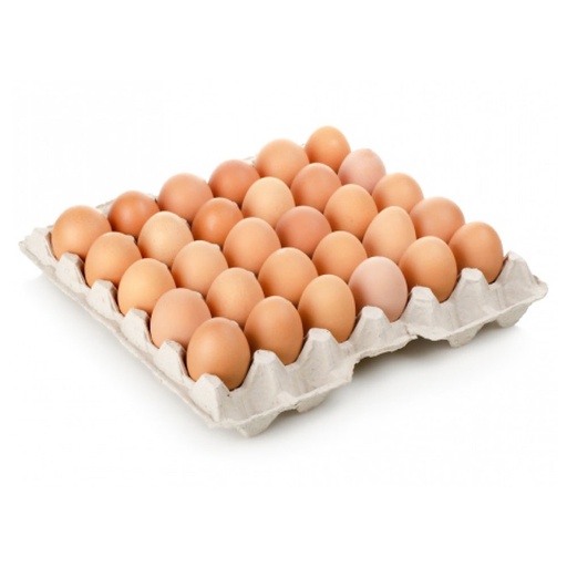 Plateau BIO eieren (30 stuks) NEW & PROMO